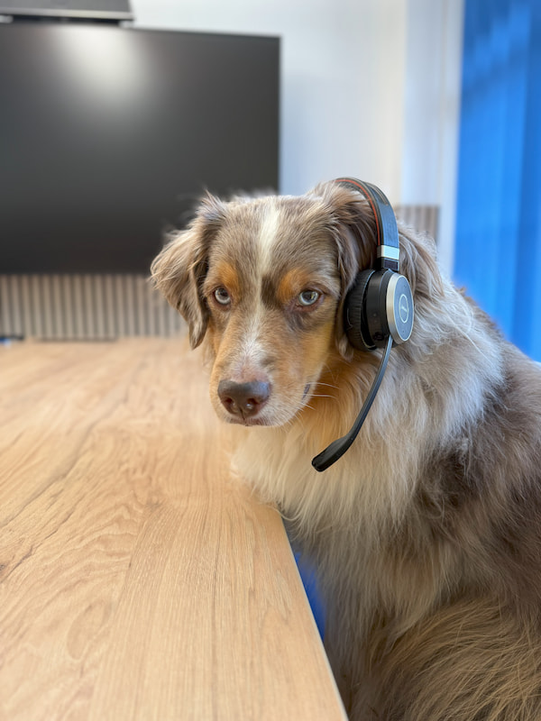 Telefonservice Firmenhund